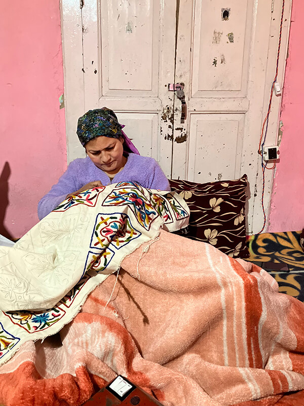 インドの座っている女性刺繍-